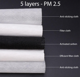 Adult PM 2.5 Activated Carbon Filter Insert Refill 10 qty/pack